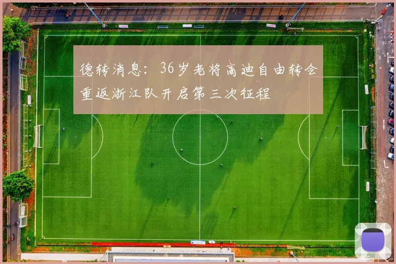 德转消息：36岁老将高迪自由转会重返浙江队开启第三次征程