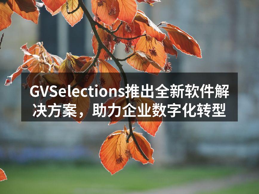 GVSelections新软件解决方案界面展示