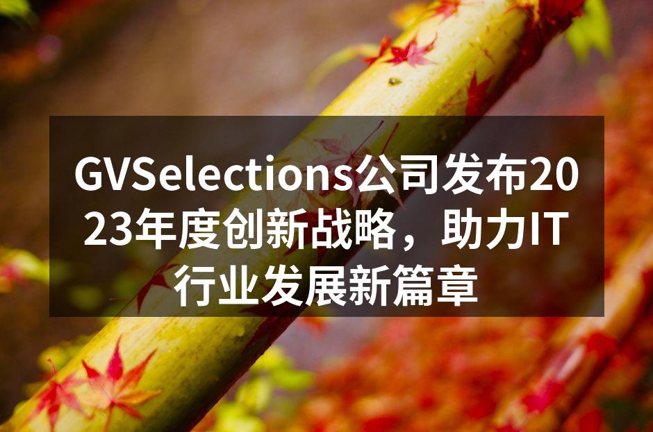 GVSelections公司新战略发布会现场