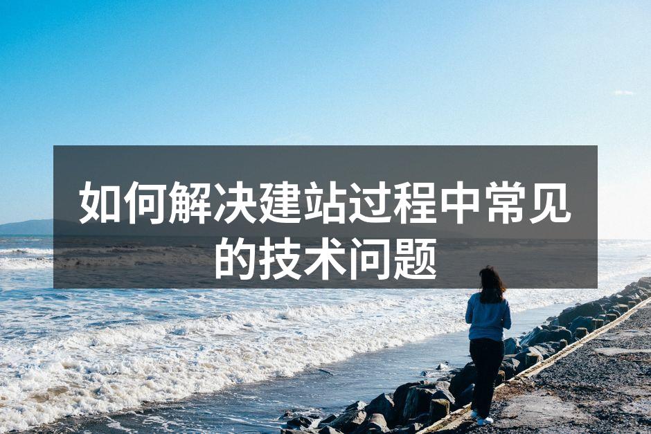 网站加载速度分析示例